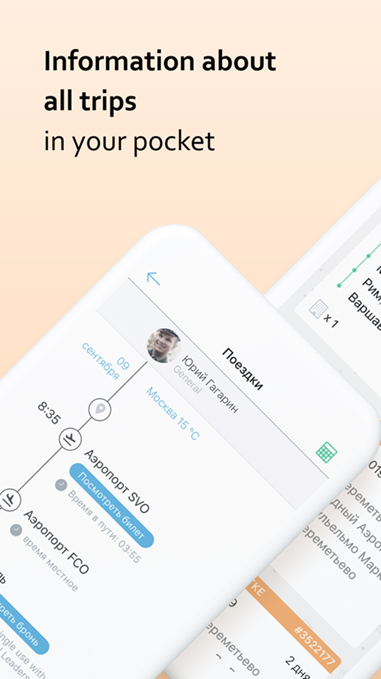 phone mockup